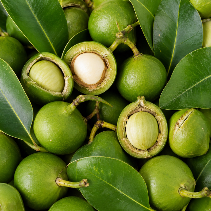 Tamanuöl