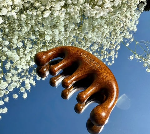 image15.jpg
